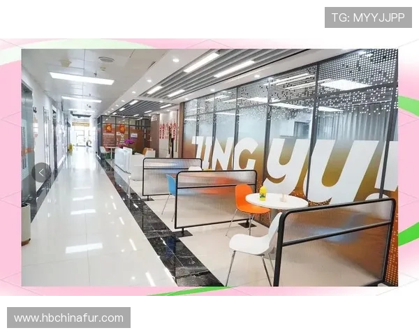 吴秀英独家分享篮球心得与技巧助你提升球技的全面指南